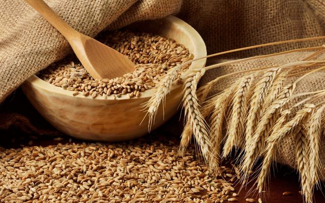 Article on forecast for global wheat production growth from Experts Club on Bin.ua website